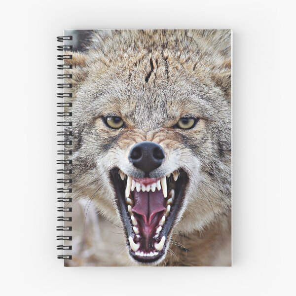 Item preview, Snarling Coyote designed and sold by Kayleigh Wilson.