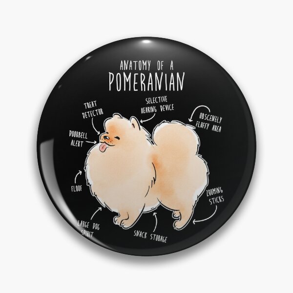Item preview, Pomeranian Anatomy designed and sold by Clara Hollins.