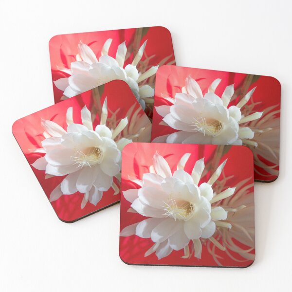 Item preview, Climbing cactus in blossom on red with reflection designed and sold by Zina Stromberg.