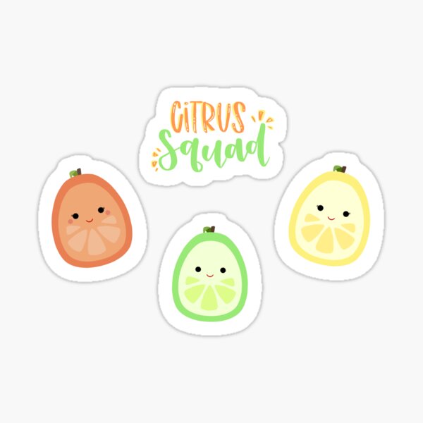 squishmallow citrus squad