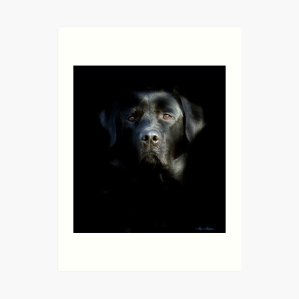 Who's afraid of the dark ? Art Print