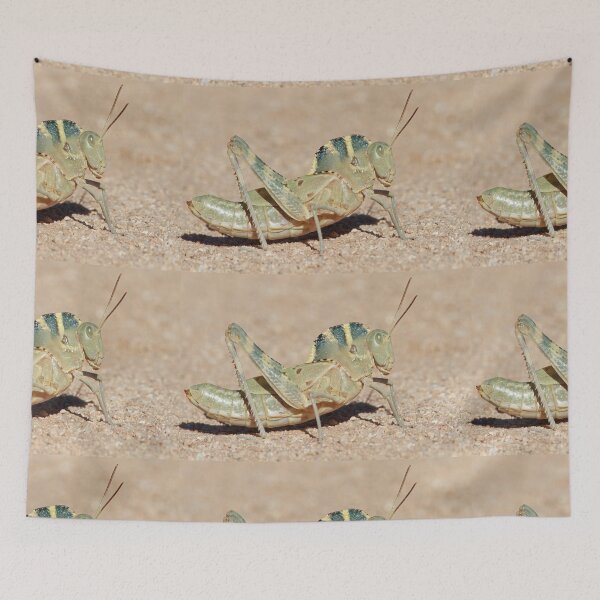 Item preview, Grasshopper with a Hump designed and sold by WorldDesign.