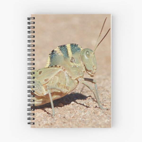 Item preview, Grasshopper with a Hump designed and sold by WorldDesign.