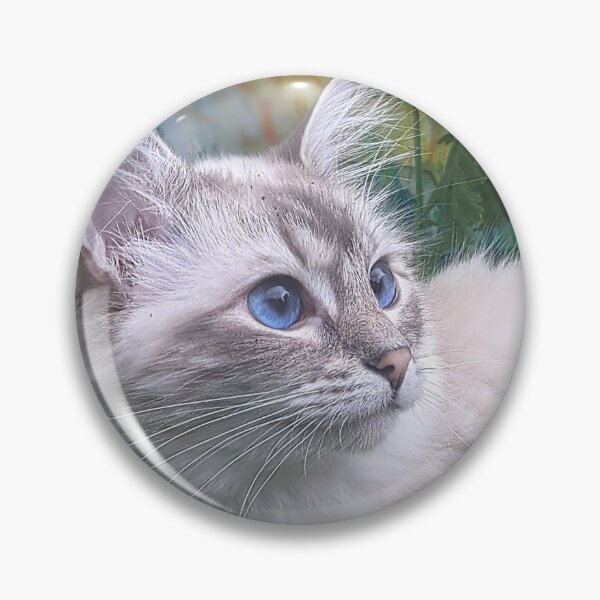Item preview, Saoirse the lynx ragdoll cat designed and sold by Fluffycat2020.