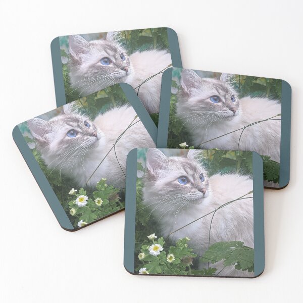 Item preview, Saoirse the lynx ragdoll cat designed and sold by Fluffycat2020.
