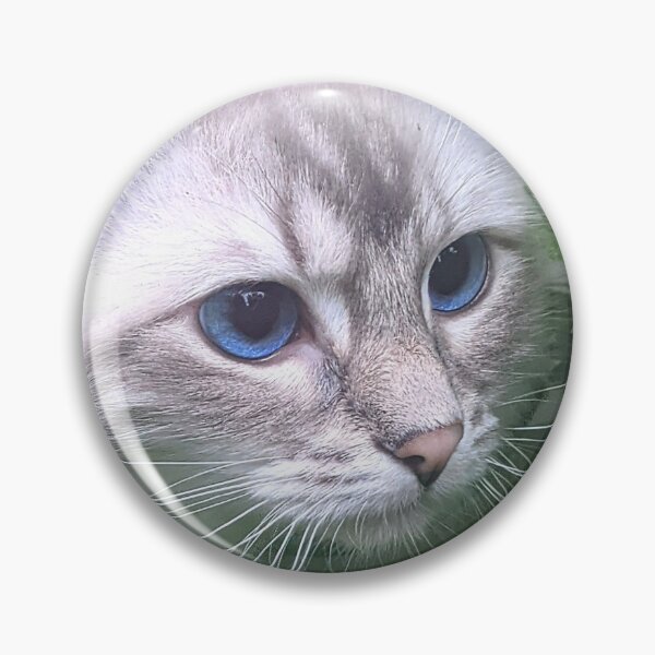 Item preview, Saoirse the lynx ragdoll cat designed and sold by Fluffycat2020.