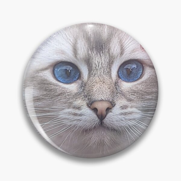 Item preview, Saoirse the lynx ragdoll cat designed and sold by Fluffycat2020.