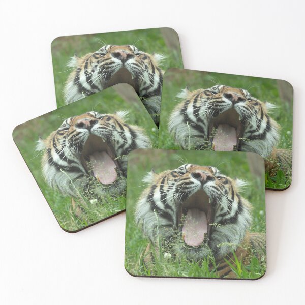 Item preview, Yawning tiger designed and sold by Sam Mitchell.