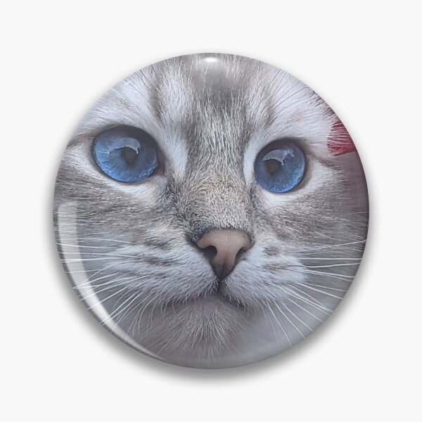 Item preview, Saoirse the lynx ragdoll cat designed and sold by Fluffycat2020.