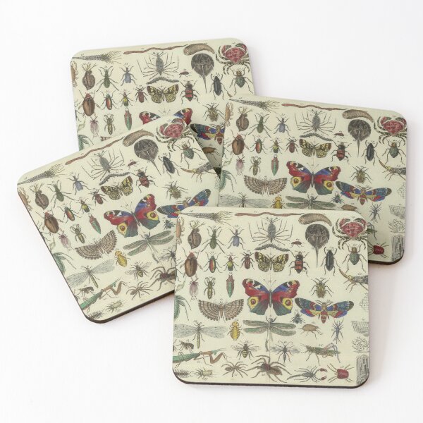 Item preview, Vintage Insects Diagram Illustration (1834) designed and sold by BravuraMedia.
