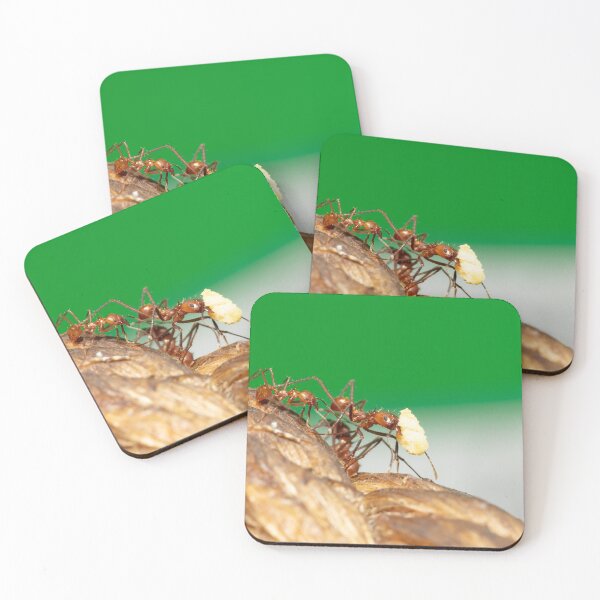 Item preview, Ants  designed and sold by Sam Mitchell.
