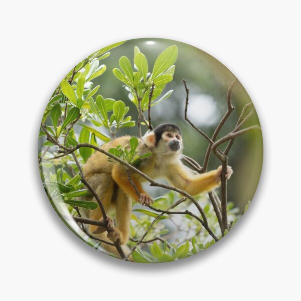 Item preview, Monkey in a tree designed and sold by Sam Mitchell.
