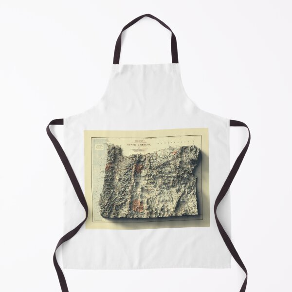 Item preview, 1889 Oregon Relief Map 3D digitally-rendered designed and sold by ThinkAboutMaps.
