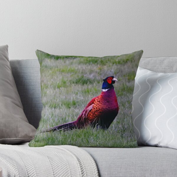 Item preview, A Wonderful Male Pheasant designed and sold by Karen Thomson.