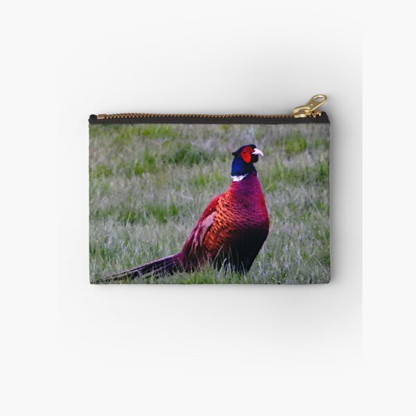 Item preview, A Wonderful Male Pheasant designed and sold by Karen Thomson.