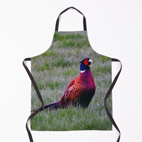 Item preview, A Wonderful Male Pheasant designed and sold by Karen Thomson.