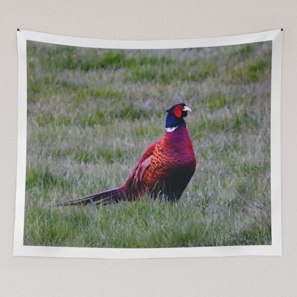 Item preview, A Wonderful Male Pheasant designed and sold by Karen Thomson.