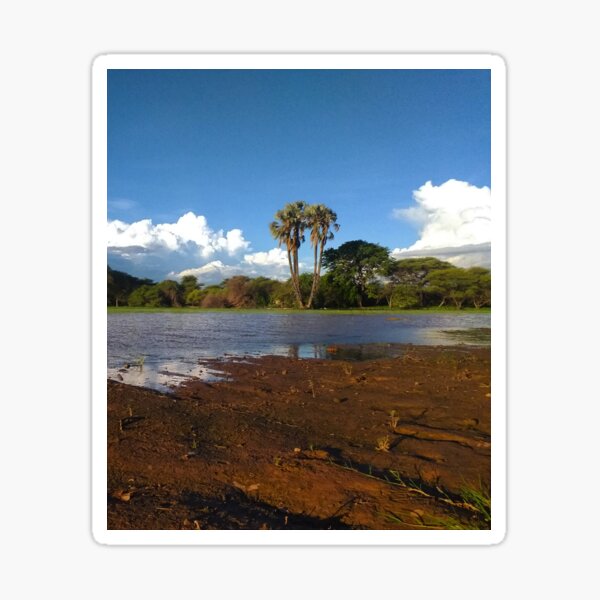 Waterside Walk Sticker