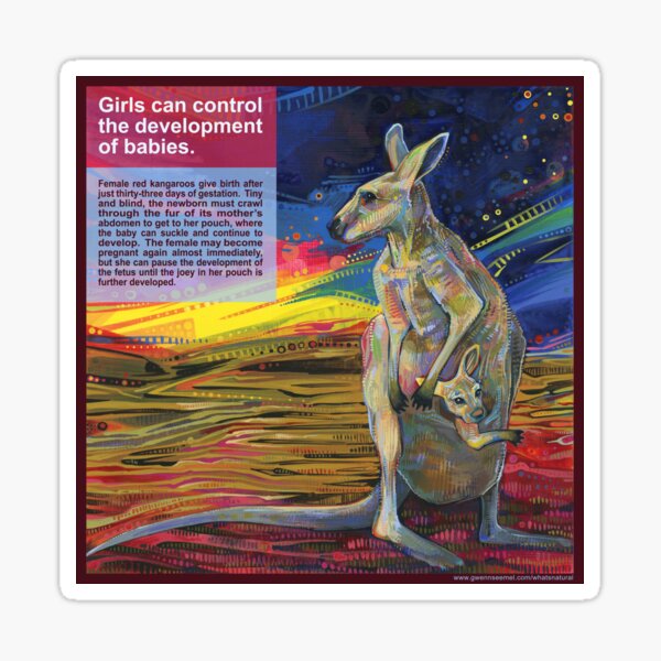 Choice (Red Kangaroo) Sticker