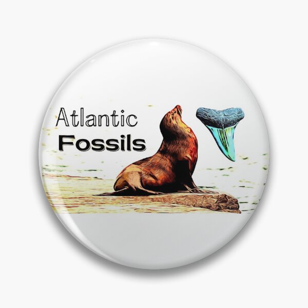 Item preview, Sea Lion and Atlantic Fossils Shark Tooth designed and sold by AtlanticFossils.