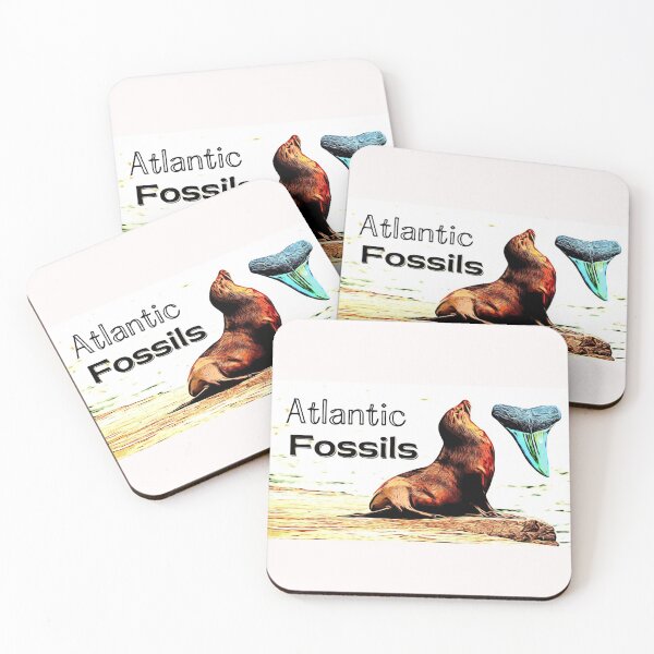 Item preview, Sea Lion and Atlantic Fossils Shark Tooth designed and sold by AtlanticFossils.