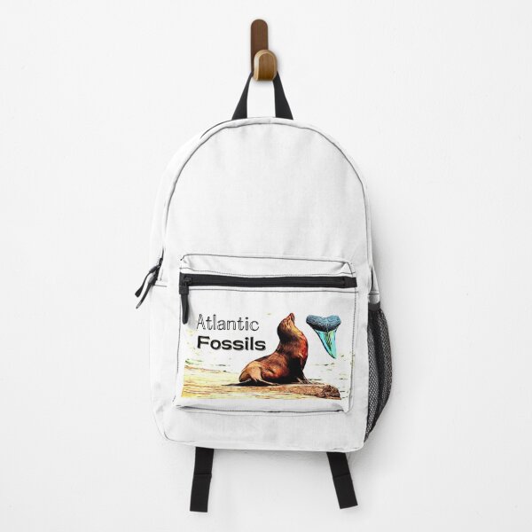 Item preview, Sea Lion and Atlantic Fossils Shark Tooth designed and sold by AtlanticFossils.