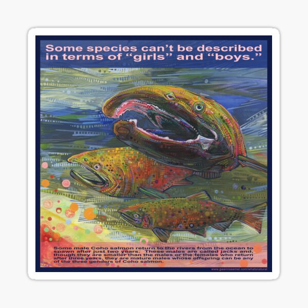 Save the Salmon, All Three Genders Sticker