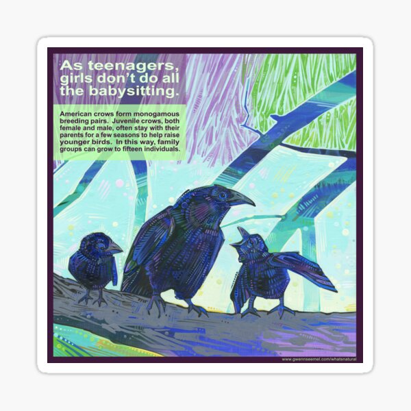 Babysitters' Club (American Crow) Sticker