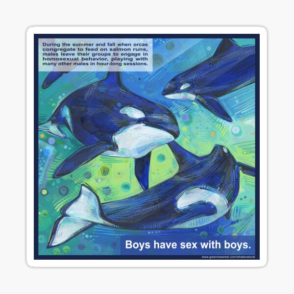 Boys' Night Out (Orca) Sticker