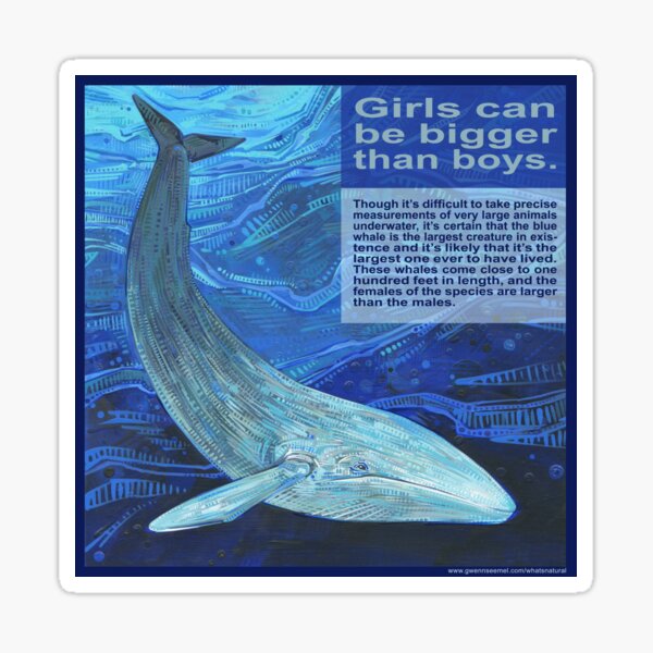 Big Mama (Blue Whale) Sticker