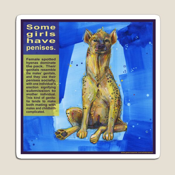 She Wears the Pants (Spotted Hyena) Magnet