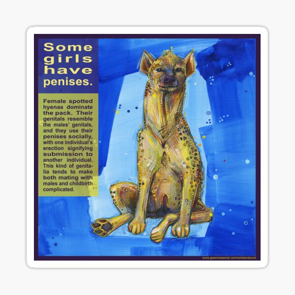 She Wears the Pants (Spotted Hyena) Sticker