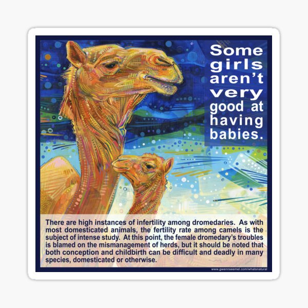 It Is Easier for a Camel to Pass Through the Eye of a Needle than for a Fertile Woman to Understand Infertility (Dromedary) Sticker