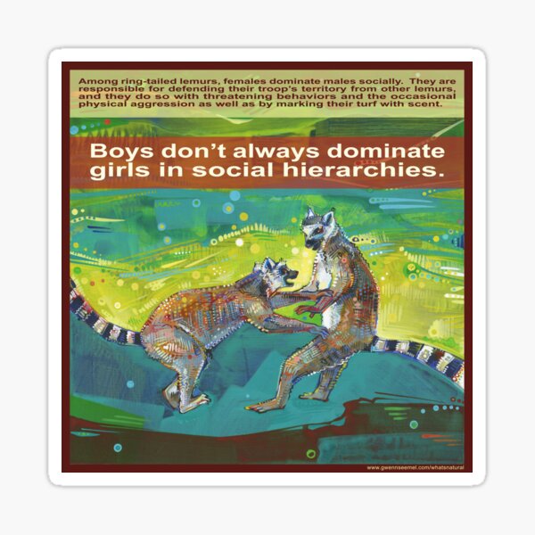 Defending Her Territory (Ring-tailed Lemur) Sticker