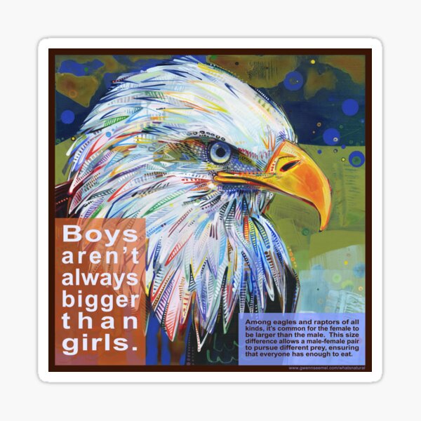Queen of the Sky (Bald Eagle) Sticker