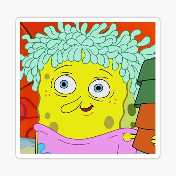 "Spongebob aka cat lady" Sticker for Sale by Patonico Redbubble