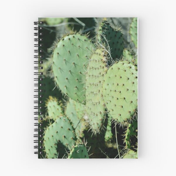 Item preview, Cacti in California designed and sold by LeylaNovini.