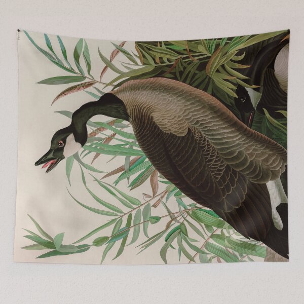 Item preview, Birds of America Audubon Canada Goose Illustration Bird Lovers Gift designed and sold by VintageArchive.