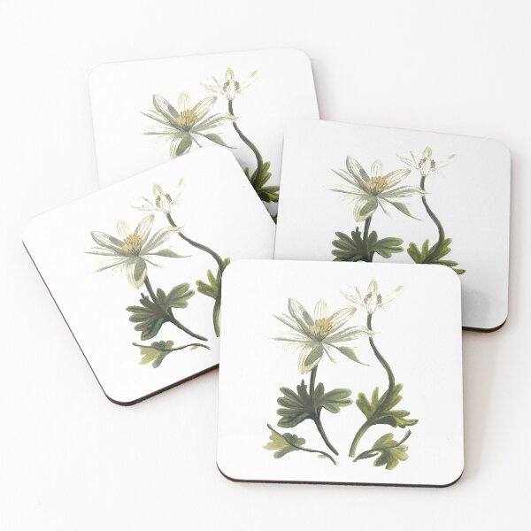 Item preview, Bloodroot Wildflower designed and sold by Ellie  Prorok.