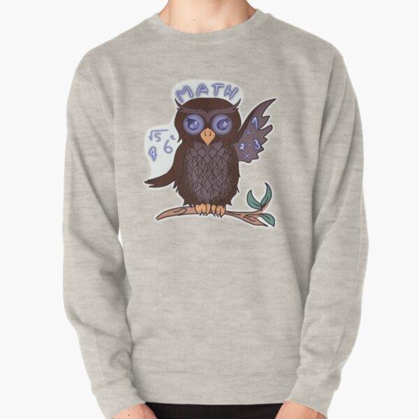 Math Owl Pullover Sweatshirt