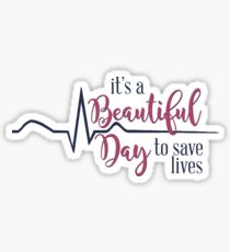 Beautiful Day to Save Lives Sticker