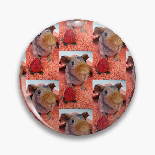 Item preview, Hairless Guinea Pig / Skinny Pig / Mini Hippo  designed and sold by haleyann3.