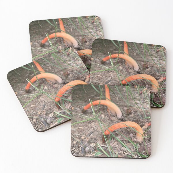 Item preview, Fungus designed and sold by Aclsyl.