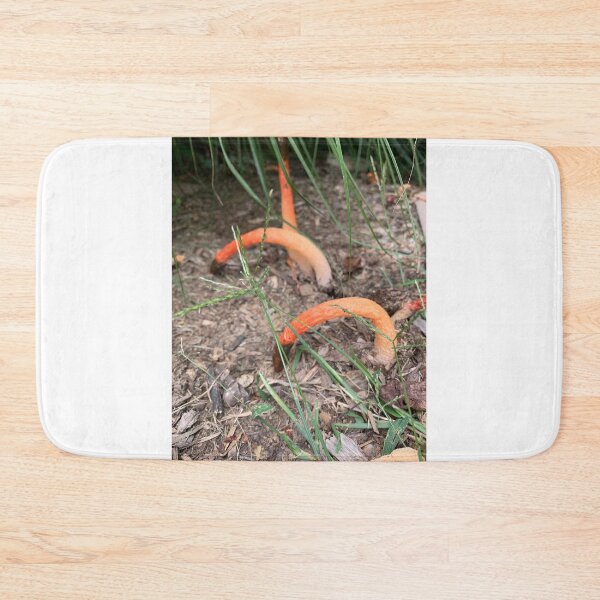 Item preview, Fungus designed and sold by Aclsyl.