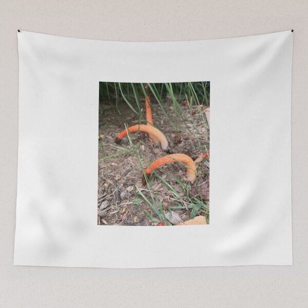 Item preview, Fungus designed and sold by Aclsyl.