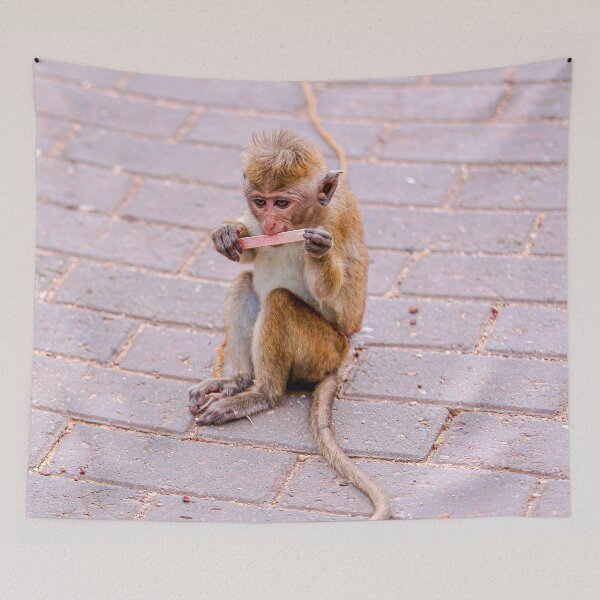 Item preview, Baby monkey with a popsicle stick designed and sold by ShehaniJay.