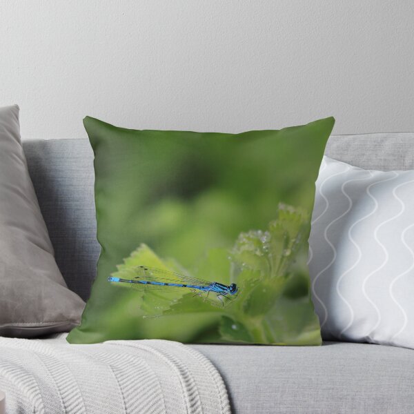 Item preview, Azure damselfly on leaf after rain designed and sold by turniptowers.
