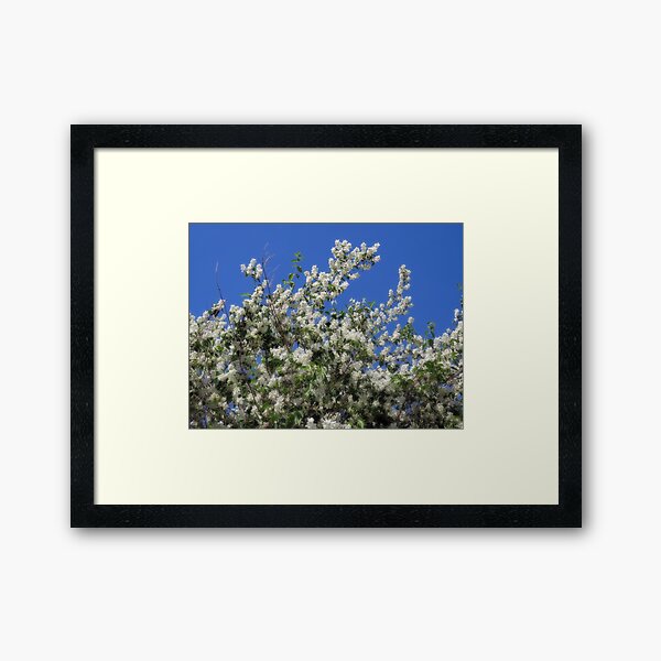Summer, Flowers And A Clear Blue Sky Framed Art Print