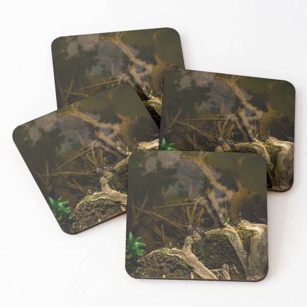 Item preview, The tree roots designed and sold by athanb.