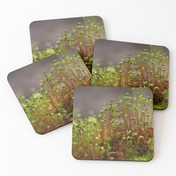 Item preview, Moss Sporophytes designed and sold by Kayleigh Wilson.